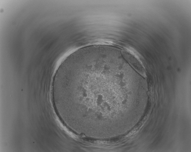 X0000064771379200602131306