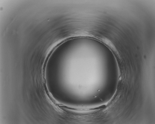 X0000064771380200602131306