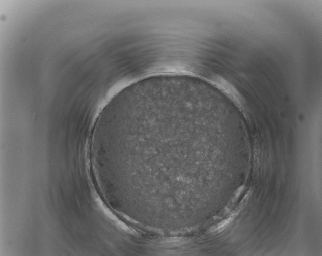 X0000064771382200602131306