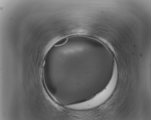 X0000064771383200602131306