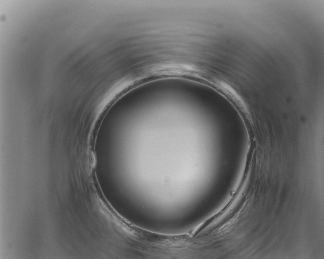 X0000064771384200602131306