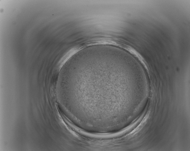 X0000064771385200602131305