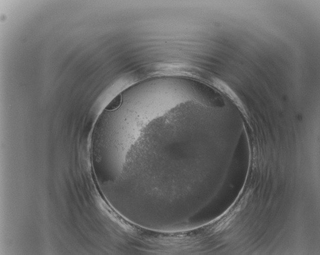 X0000064771386200602131305