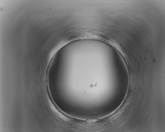 X0000064771387200602131305