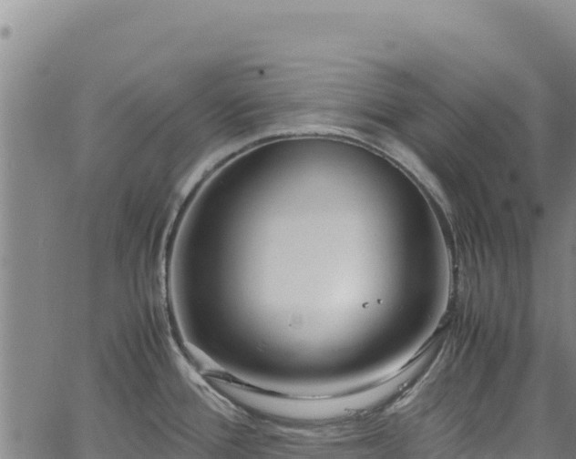 X0000064771388200602131305