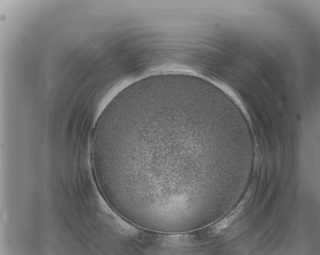 X0000064771390200602131305