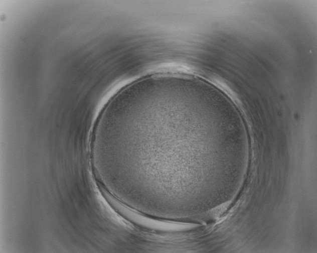 X0000064771392200602131305