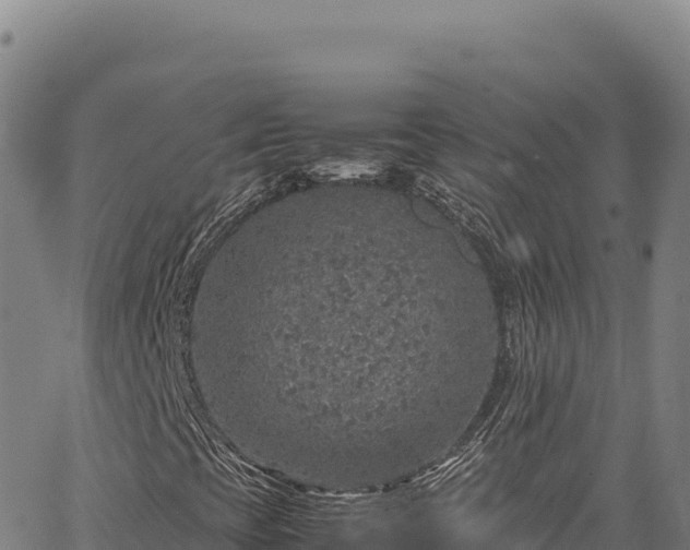 X0000064771393200602131305