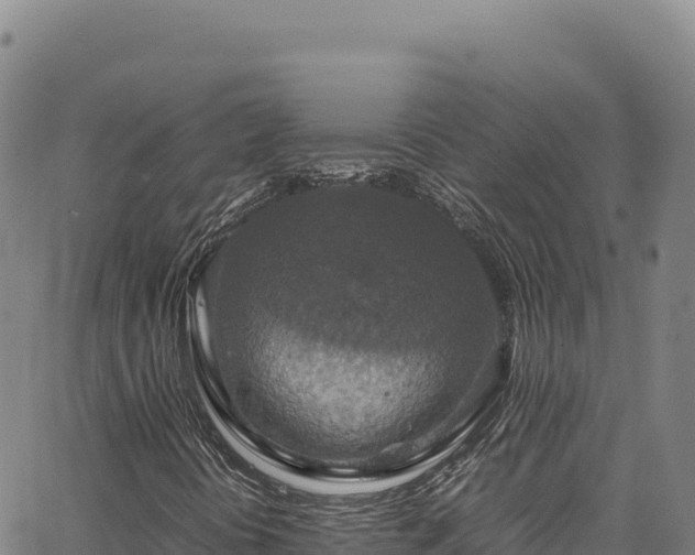 X0000064771394200602131305