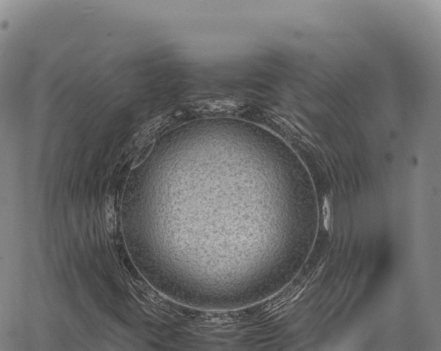 X0000064771395200602131305