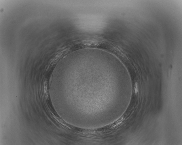 X0000064771396200602131305