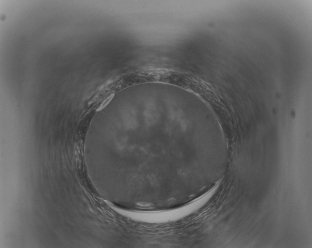 X0000064771397200602131305