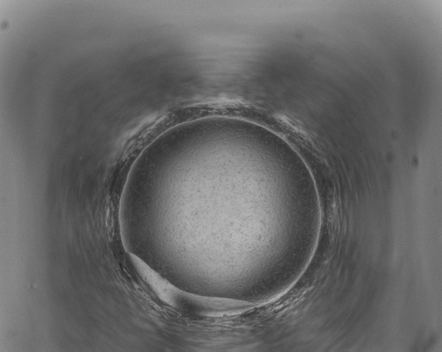 X0000064771398200602131305