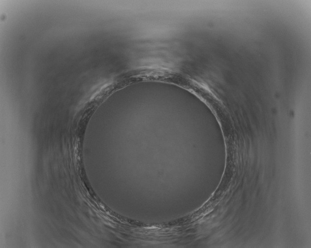 X0000064771399200602131305