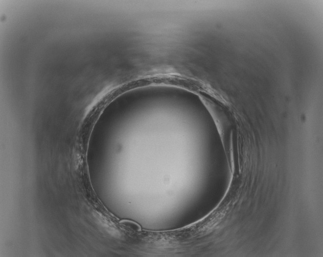 X0000064771400200602131305