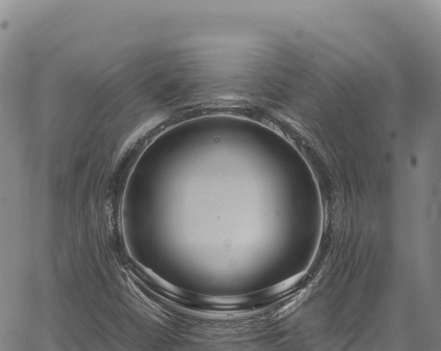 X0000064771402200602131305