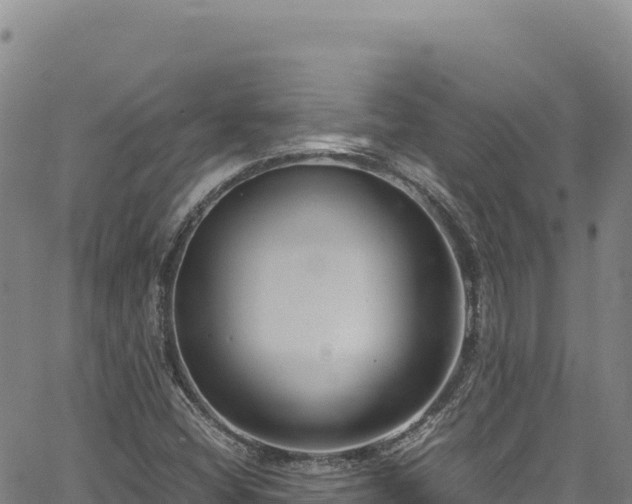 X0000064771404200602131305