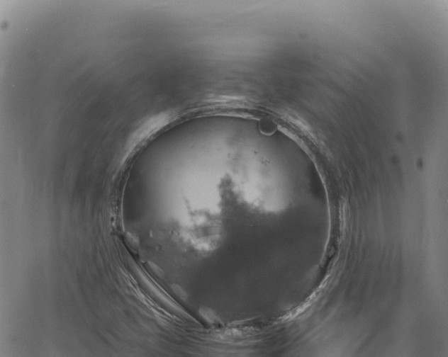 X0000064771405200602131305