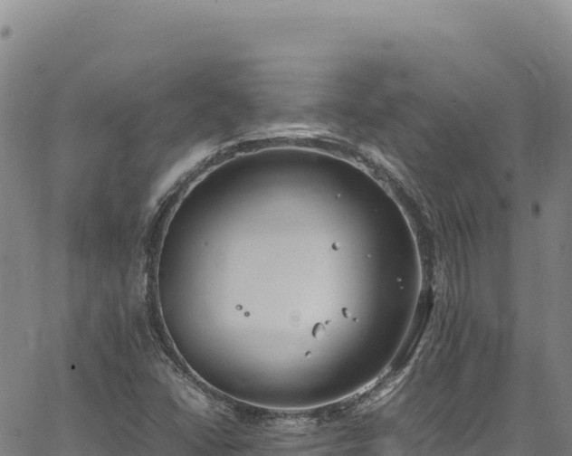 X0000064771406200602131305