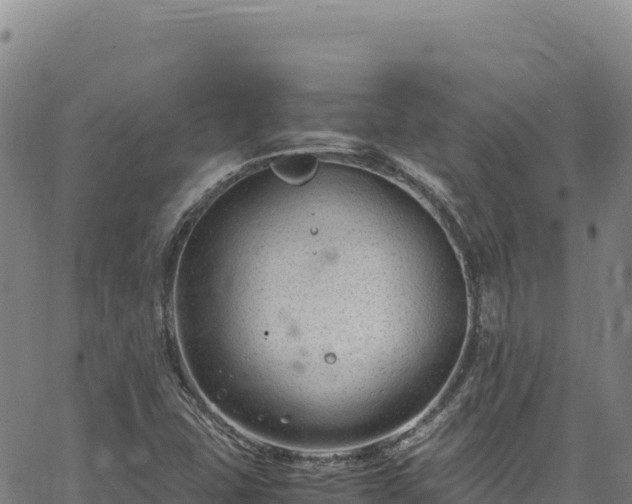 X0000064771407200602131305