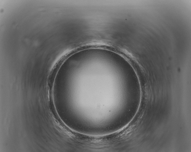 X0000064771408200602131305