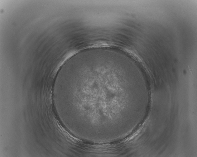 X0000064771409200602131305