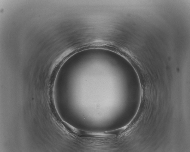 X0000064771410200602131305