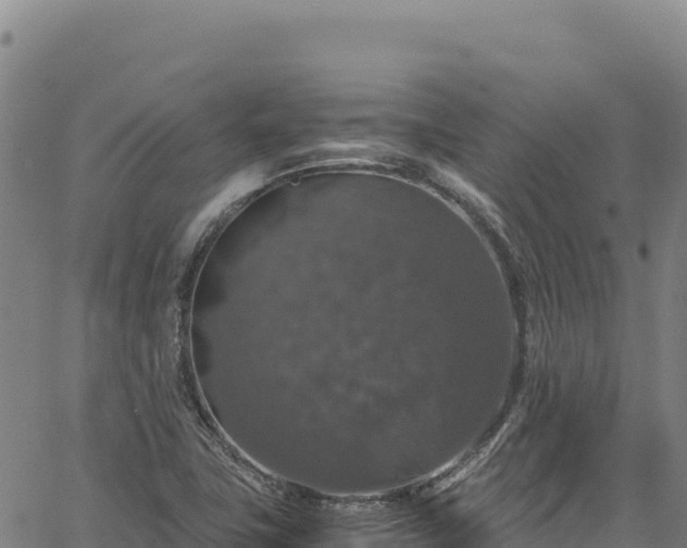 X0000064771411200602131305