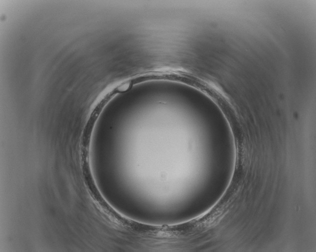 X0000064771412200602131305