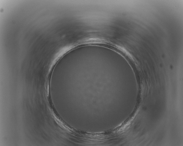 X0000064771413200602131305