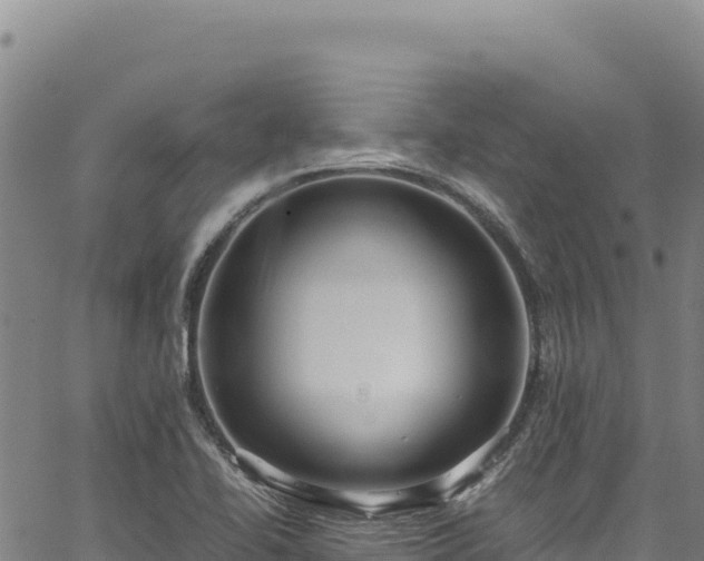 X0000064771414200602131305