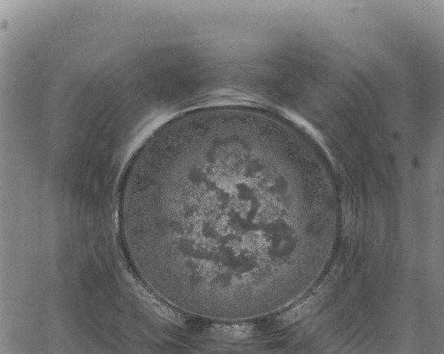 X0000064771415200602131305