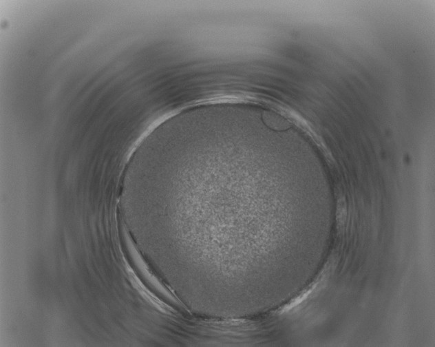 X0000064771417200602131305