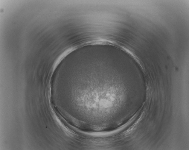 X0000064771418200602131305