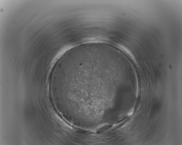 X0000064771419200602131305