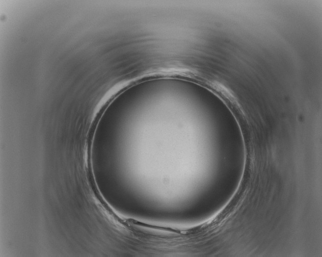 X0000064771420200602131305