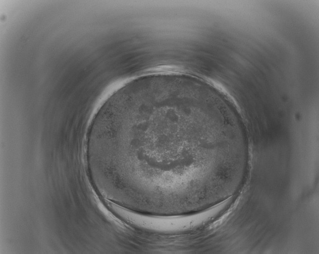 X0000064771421200602131305