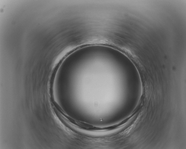 X0000064771422200602131305