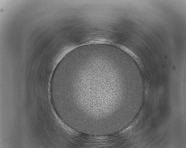 X0000064771423200602131305