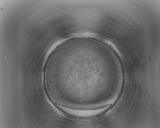 X0000064771424200602131305