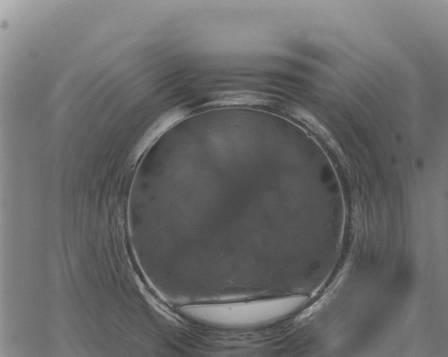 X0000064771425200602131305