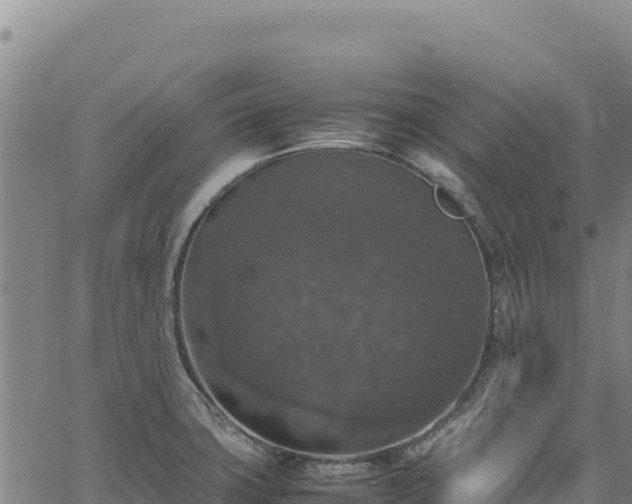 X0000064771427200602131305