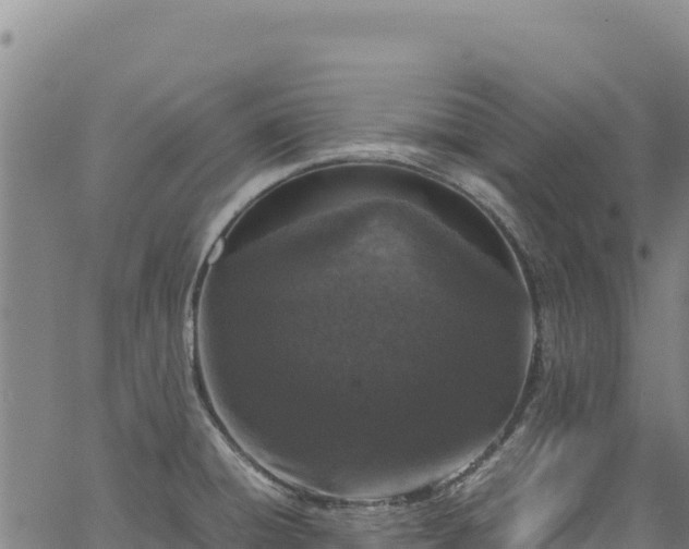 X0000064771428200602131305