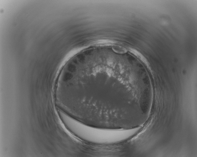 X0000064771429200602131305