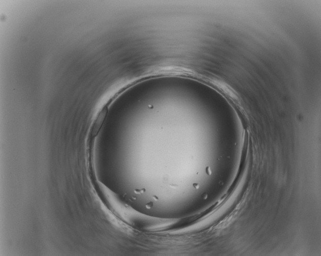 X0000064771430200602131305