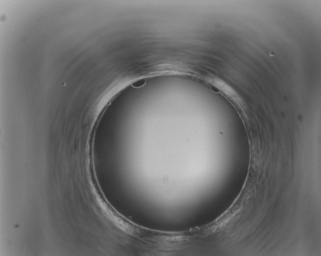 X0000064771431200602131305