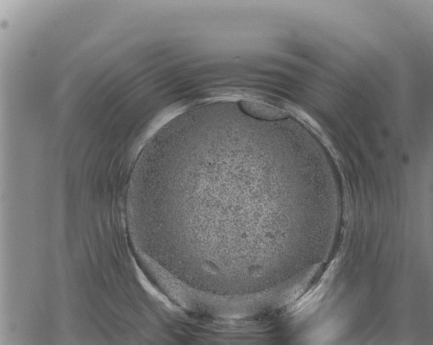 X0000064771433200602131305