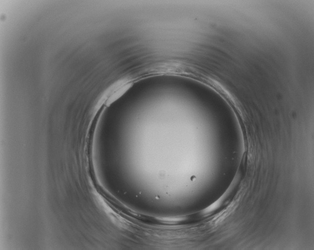 X0000064771434200602131305