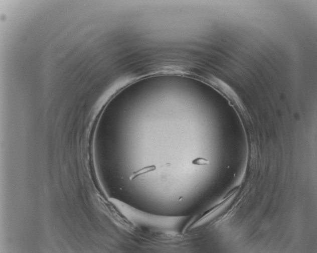 X0000064771435200602131305