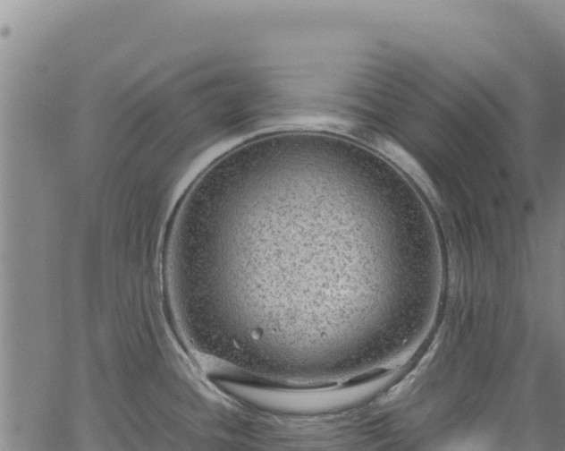 X0000064771436200602131305